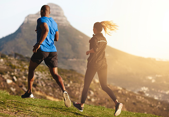 Démocratiser cette plante pleine de potentialités